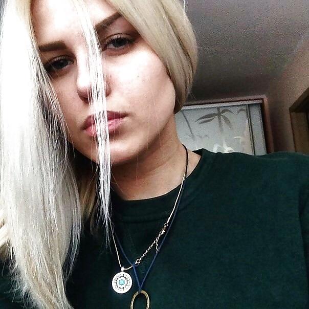 Laylasaurus from Australian Capital Territory,Australia